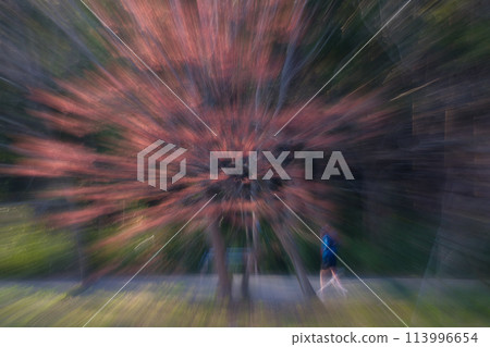 Running Running 113996654
