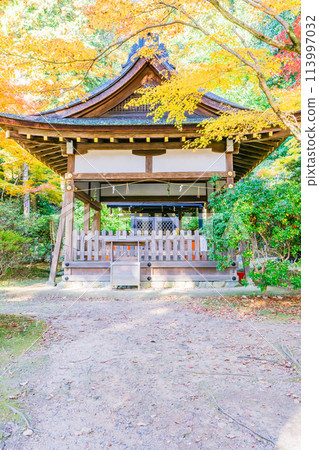 京都市北區上賀茂本山的加茂山口神社(澤田神社)、上賀茂神社的秋葉 京都市北區上賀茂本山的加茂山口神社(澤田神社)、上賀茂神社的秋葉 113997032