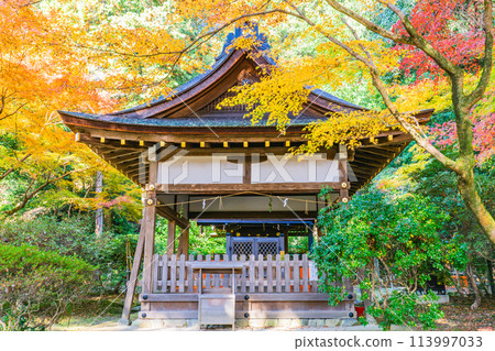 京都市北區上賀茂本山的加茂山口神社（澤田神社）、上賀茂神社的秋葉 113997033