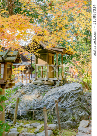 京都市北區上賀茂本山岩本神社、上賀茂神社的秋葉 113997034