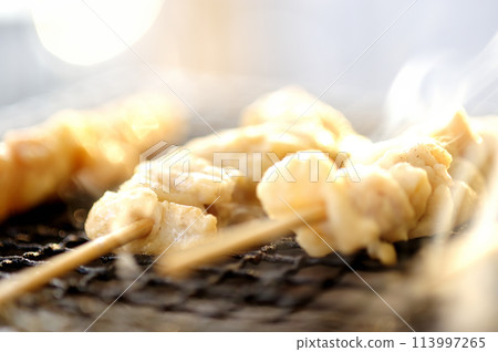 享受戰車炭烤雞肉串 113997265
