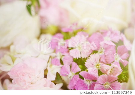 Colorful Flower Bouquet Close up Background Colorful Flower Bouquet Close up Background 113997349