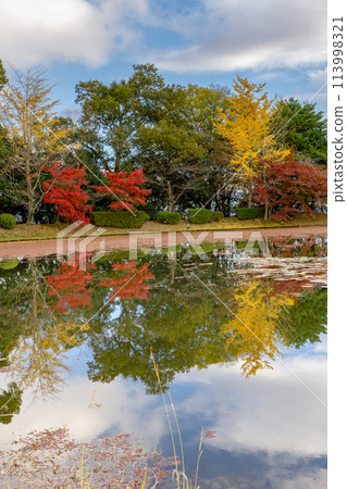Autumn foliage at Osawa Pond (Japan's oldest man-made pond) near Daikakuji Temple in Sagano, Kyoto Autumn foliage at Osawa Pond (Japan's oldest man-made pond) near Daikakuji Temple in Sagano, Kyoto 113998321