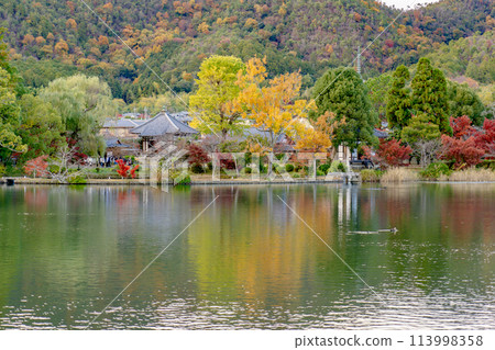 Autumn foliage at Osawa Pond (Japan's oldest man-made pond) near Daikakuji Temple in Sagano, Kyoto Autumn foliage at Osawa Pond (Japan's oldest man-made pond) near Daikakuji Temple in Sagano, Kyoto 113998358