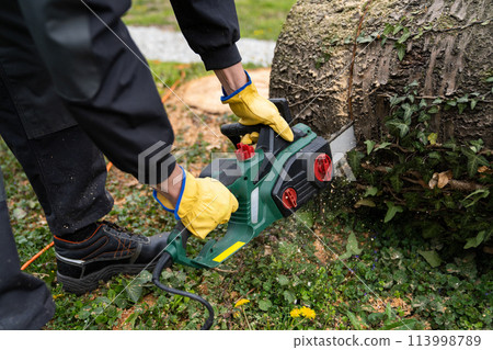 A man in uniform cuts an old tree in the yard with an electric saw 113998789