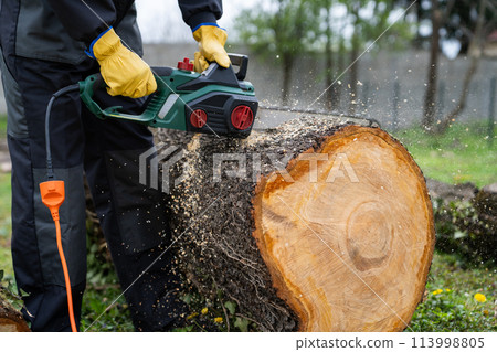 A man in uniform cuts an old tree in the yard with an electric saw 113998805