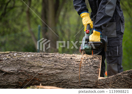 A man in uniform cuts an old tree in the yard with an electric saw 113998821