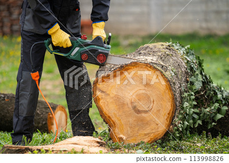 A man in uniform cuts an old tree in the yard with an electric saw A man in uniform cuts an old tree in the yard with an electric saw 113998826