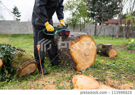 A man in uniform cuts an old tree in the yard with an electric saw A man in uniform cuts an old tree in the yard with an electric saw 113998828