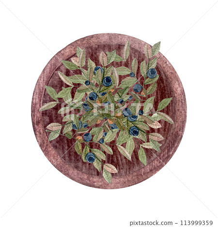 Blueberry sprig pile on a wooden plate watercolor illustration isolated on white. Hand drawn high quality art with wild edible forest plant in flat style for packages, labels, food and drink design 113999359