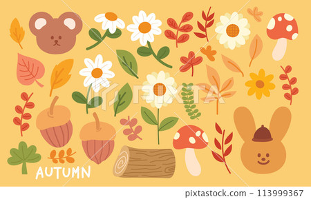 Illustration of autumn elements such as teddy bear, bunny, flowers, mushroom, timber wood, walnut, orange leaves, red leaves for stickers, decoration, fall season, weather, nature, garden, animal 113999367