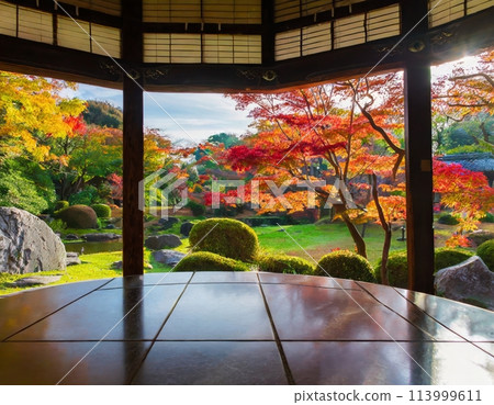日式花園，秋季色調，從日式房間觀看 113999611