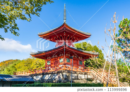 京都市右京區嵯峨大澤町的大覺寺，新京寶塔 (Tahoto) 113999896