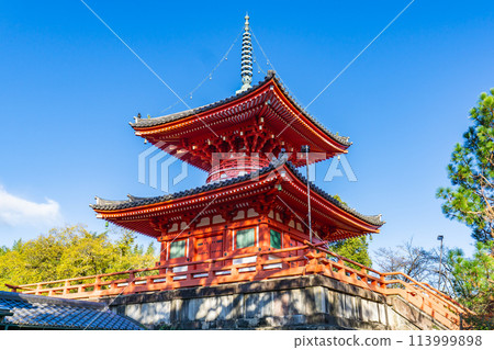 京都市右京區嵯峨大澤町的大覺寺，新京寶塔 (Tahoto) 113999898