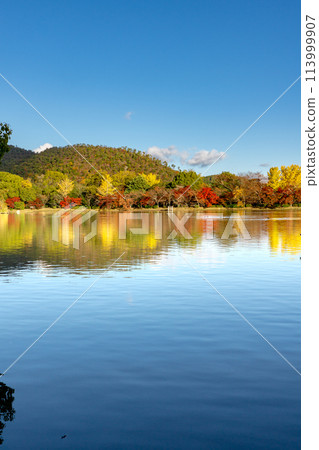 Autumn foliage at Osawa Pond (Japan's oldest artificial pond) at Daikakuji Temple in Sagano, Kyoto Autumn foliage at Osawa Pond (Japan's oldest artificial pond) at Daikakuji Temple in Sagano, Kyoto 113999907
