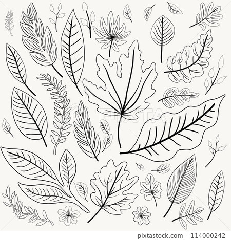 Simplicity autumn leaf freehand drawing flat design. 114000242