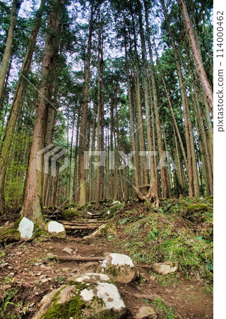 小徑 小徑 114000462