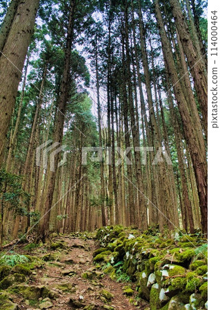Trail Trail 114000464
