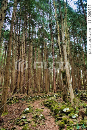 Trail Trail 114000465