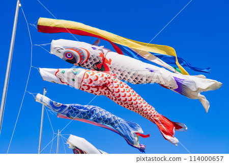 Koinobori/五月圖片 114000657