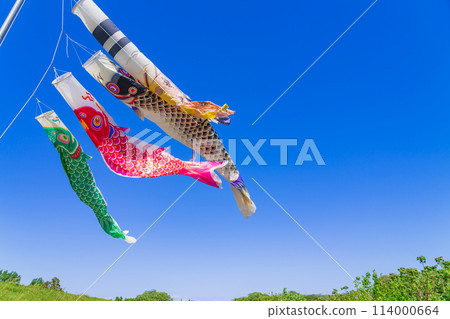 Koinobori/May image Koinobori/May image 114000664