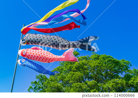 Koinobori/May image Koinobori/May image 114000666