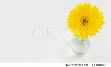 Yellow flower glass bottle spring summer gerbera Yellow flower glass bottle spring summer gerbera 114000830