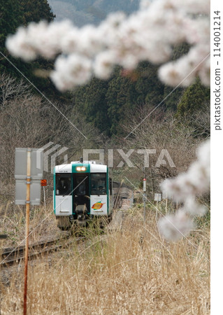 JR Nakayamadaira Onsen Station with cherry blossoms in full bloom JR Nakayamadaira Onsen Station with cherry blossoms in full bloom 114001214