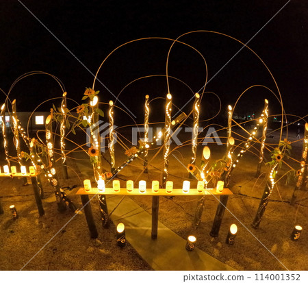 Okawa Elementary School Bamboo Lighting Event Okawa Elementary School Bamboo Lighting Event 114001352