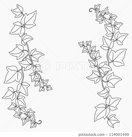 Floral ivy drawing decorative ornament flat design. 114001499