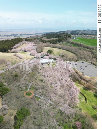 鳥瞰櫻花盛開的籠子山 鳥瞰櫻花盛開的籠子山 114001922