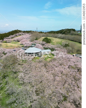 鳥瞰櫻花盛開的籠子山 鳥瞰櫻花盛開的籠子山 114001953