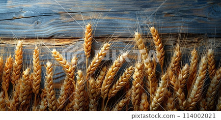 Wooden background with ears of grain, eco background 114002021