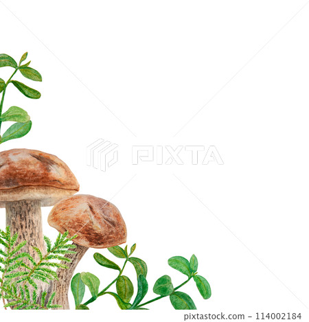 Wild edible mushrooms, moss and cranberry leaves, cowberry branches watercolor hand drawn botanical realistic corner. Forest boletus frame. Great for printing on fabric, invitations, menu, print, card 114002184