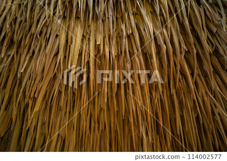 A roof made of dried nipa palm leaves. 114002577