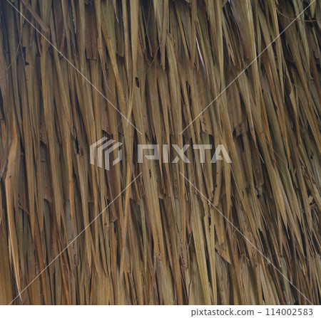 A roof made of dried nipa palm leaves. 114002583