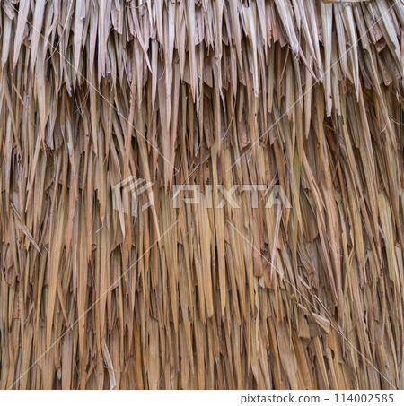 A roof made of dried nipa palm leaves. 114002585