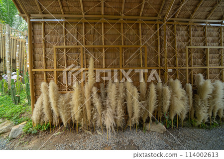 Natural wood slats wall or lath line arrange. Flooring pattern surface texture. Close-up of interior architecture material for design decoration background. 114002613