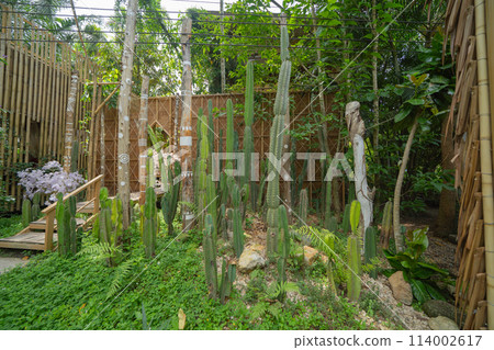 Natural wood slats wall or lath line arrange. Flooring pattern surface texture. Close-up of interior architecture material for design decoration background. 114002617