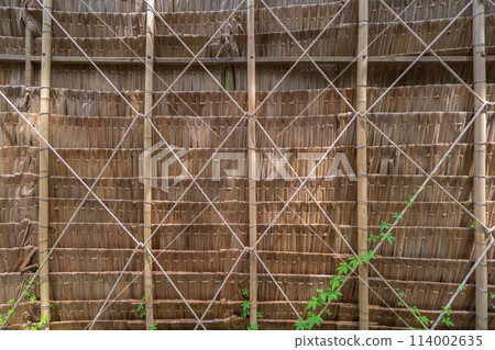 Natural wood slats wall or lath line arrange. Flooring pattern surface texture. Close-up of interior architecture material for design decoration background. 114002635