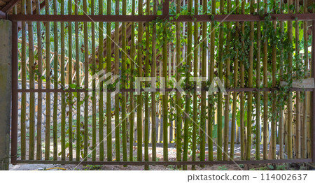 Natural wood slats wall or lath line arrange. Flooring pattern surface texture. Close-up of interior architecture material for design decoration background. 114002637