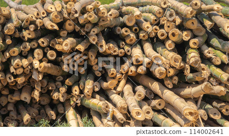 Bamboo poles log wood. Trunk. Nature Bamboo poles log wood. Trunk. Nature 114002641