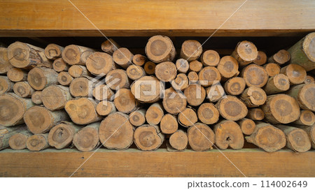 Bamboo poles log wood. Trunk. Nature 114002649