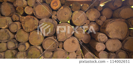Bamboo poles log wood. Trunk. Nature Bamboo poles log wood. Trunk. Nature 114002651