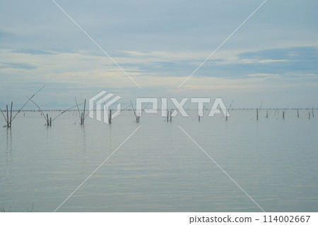 Fishing trap net in canal with fisherman urban city village town houses, lake or river. Nature landscape fisheries and fishing tools at Pak Pha, Songkhla, Thailand. Aquaculture farming Fishing trap net in canal with fisherman urban city village town houses, lake or river. Nature landscape fisheries and fishing tools at Pak Pha, Songkhla, Thailand. Aquaculture farming 114002667