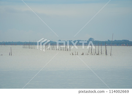 Fishing trap net in canal with fisherman urban city village town houses, lake or river. Nature landscape fisheries and fishing tools at Pak Pha, Songkhla, Thailand. Aquaculture farming Fishing trap net in canal with fisherman urban city village town houses, lake or river. Nature landscape fisheries and fishing tools at Pak Pha, Songkhla, Thailand. Aquaculture farming 114002669