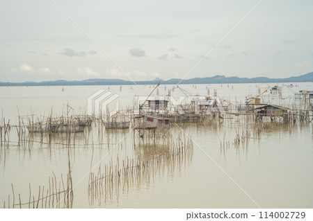 Fishing trap net in canal with fisherman urban city village town houses, lake or river. Nature landscape fisheries and fishing tools at Pak Pha, Songkhla, Thailand. Aquaculture farming Fishing trap net in canal with fisherman urban city village town houses, lake or river. Nature landscape fisheries and fishing tools at Pak Pha, Songkhla, Thailand. Aquaculture farming 114002729