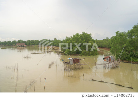 Fishing trap net in canal with fisherman urban city village town houses, lake or river. Nature landscape fisheries and fishing tools at Pak Pha, Songkhla, Thailand. Aquaculture farming Fishing trap net in canal with fisherman urban city village town houses, lake or river. Nature landscape fisheries and fishing tools at Pak Pha, Songkhla, Thailand. Aquaculture farming 114002733