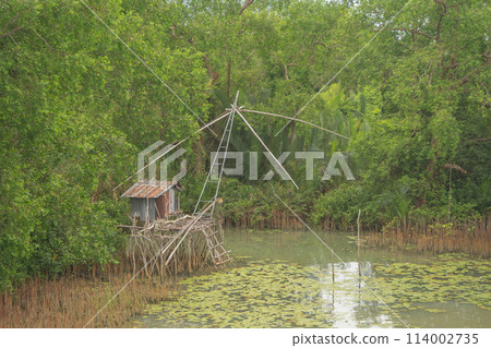 Fishing trap net in canal with fisherman urban city village town houses, lake or river. Nature landscape fisheries and fishing tools at Pak Pha, Songkhla, Thailand. Aquaculture farming Fishing trap net in canal with fisherman urban city village town houses, lake or river. Nature landscape fisheries and fishing tools at Pak Pha, Songkhla, Thailand. Aquaculture farming 114002735
