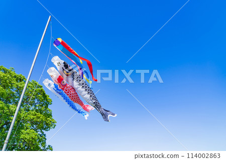 Koinobori/May image 114002863